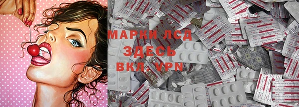 гидра Алексин