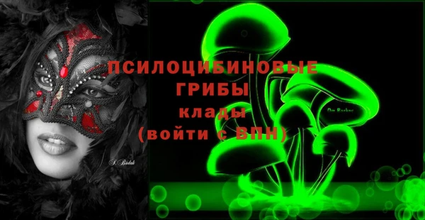 гидра Алексин
